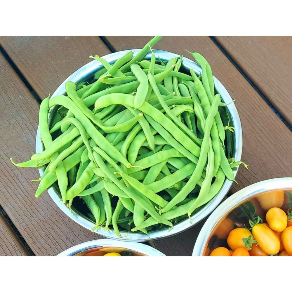 Long Green Pole Beans Seeds Climbing Bean Seeds